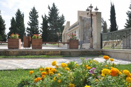 Taleh Qaraşov: Novruz Azərbaycan xalqının milli-mənəvi varlığını bütün dolğunluğu ilə əks etdirir
